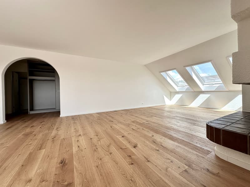Küngoldingen: freshly renovated 5.5-room attic apartment with a great view (6)