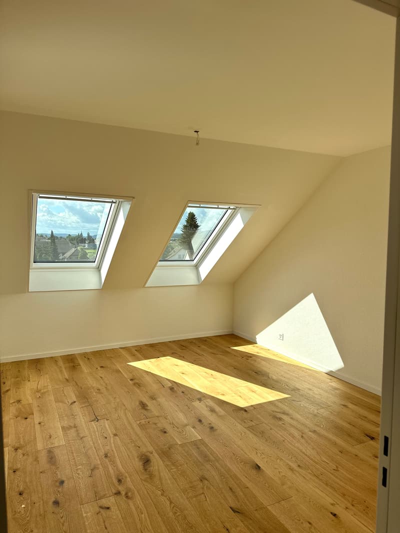 Küngoldingen: freshly renovated 5.5-room attic apartment with a great view (18)