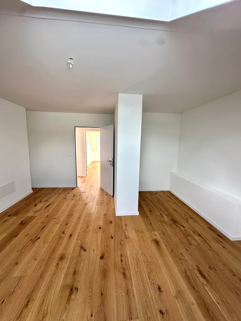 Küngoldingen: freshly renovated 5.5-room attic apartment with a great view (20)