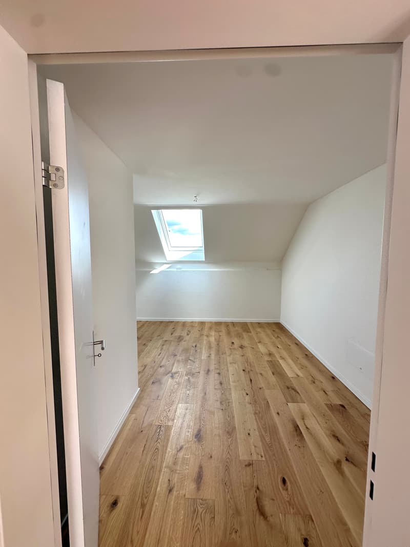 Küngoldingen: freshly renovated 5.5-room attic apartment with a great view (19)