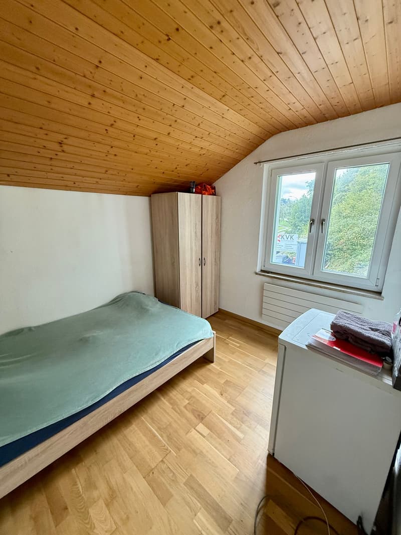 Share Deal: attraktive Wohn- & Gewerbeliegenschaft mit viel Potenzial (23)
