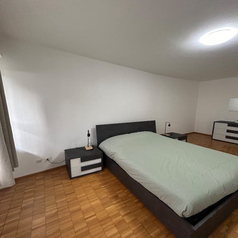Bilocale luminoso e arredato a Lugano (9)