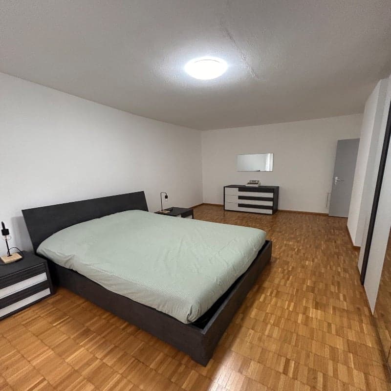 Bilocale luminoso e arredato a Lugano (8)