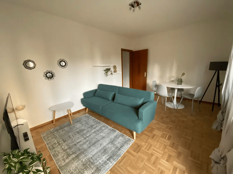 Appartamento arredato a Lugano (4)
