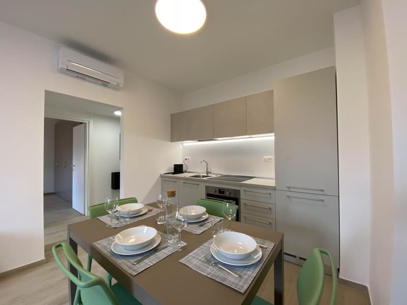 Appartement deux pièces au centre de Lugano (6)