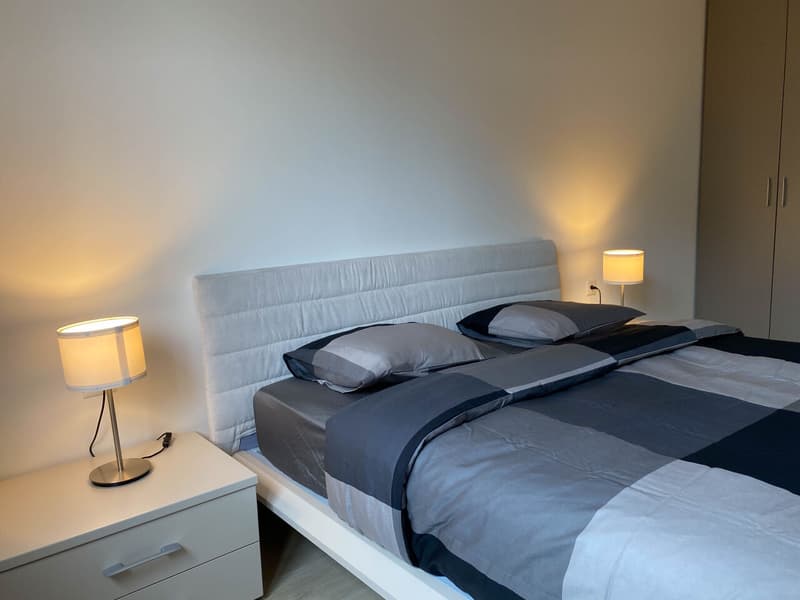 Appartement deux pièces au centre de Lugano (7)