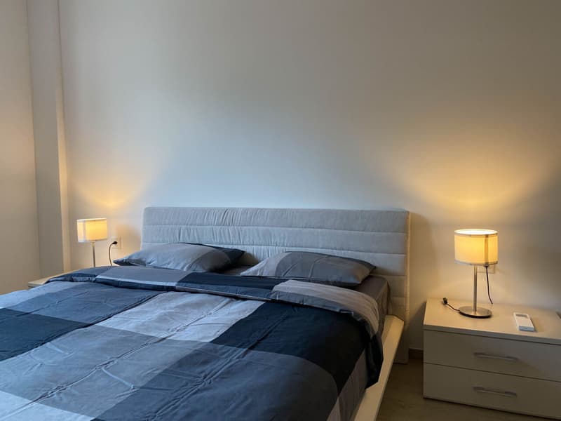 Appartement deux pièces au centre de Lugano (8)