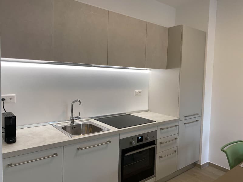 Appartement deux pièces au centre de Lugano (3)