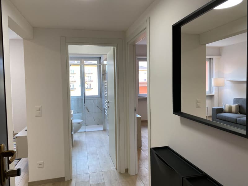 Appartement deux pièces au centre de Lugano (10)
