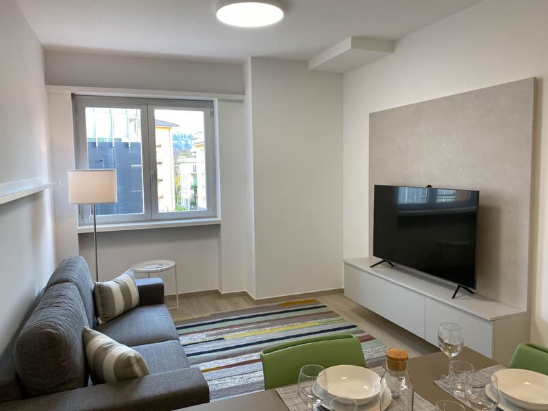 Appartement deux pièces au centre de Lugano (4)