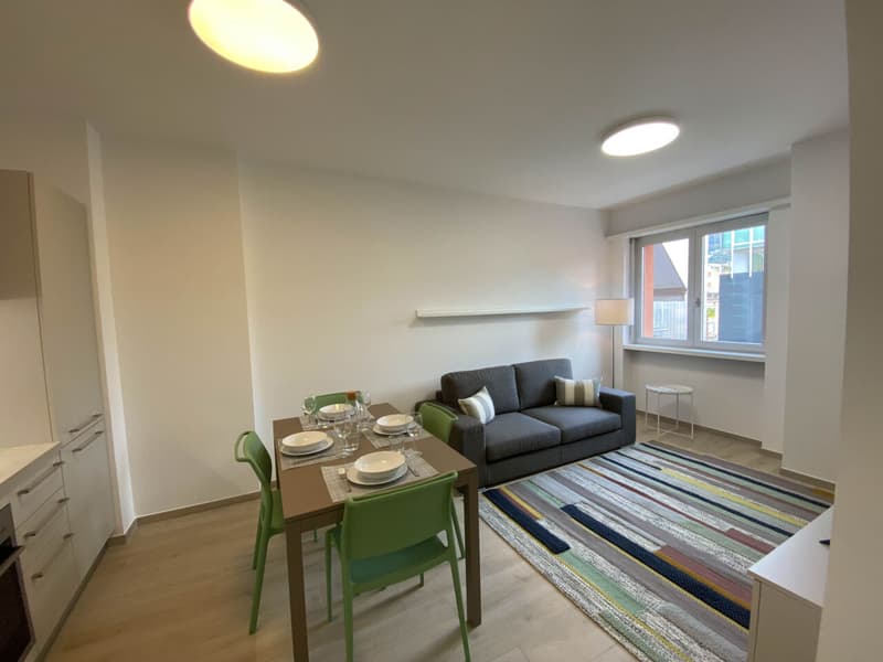 Appartement deux pièces au centre de Lugano (5)