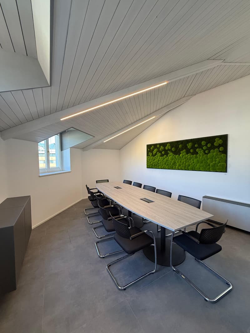 Sala Riunioni Executive a Lugano (11)