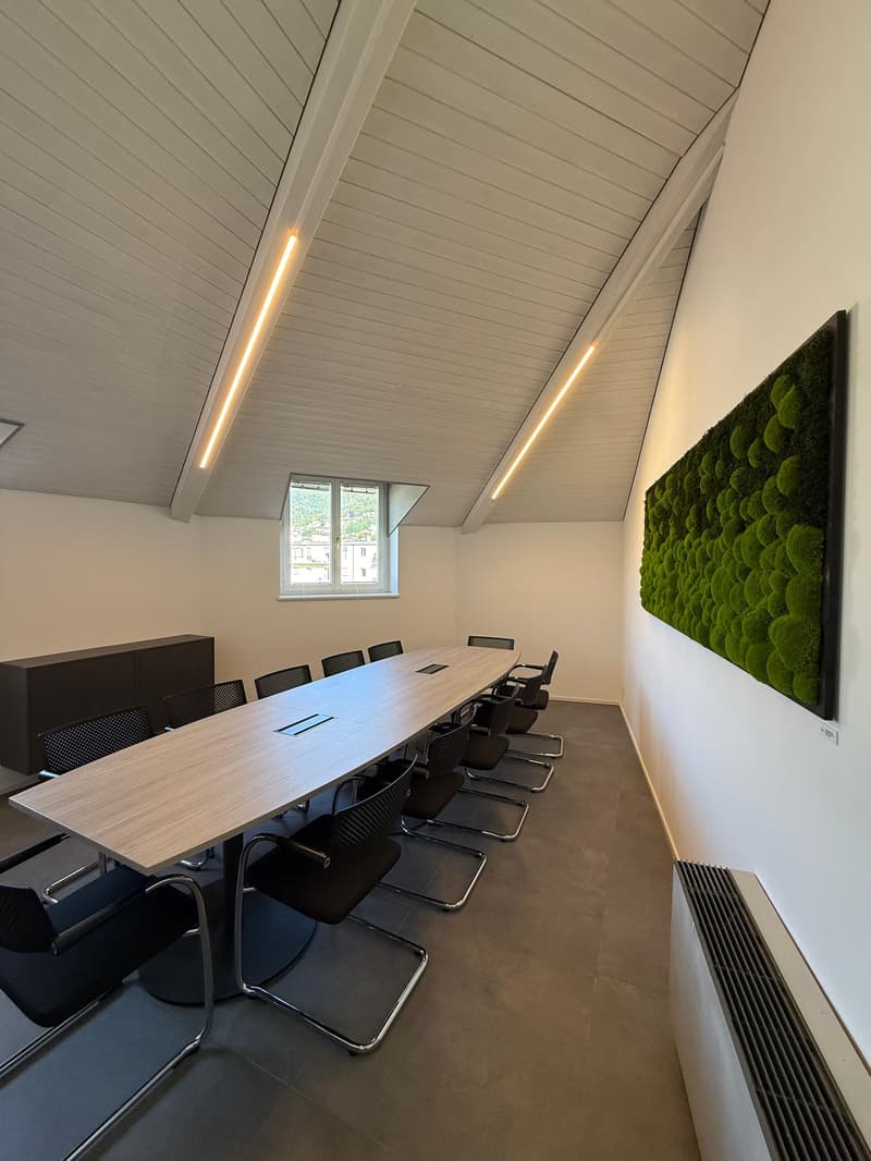 Sala Riunioni Executive a Lugano (8)