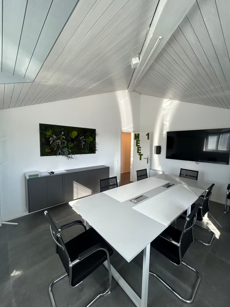 Sala Riunioni Executive a Lugano (5)
