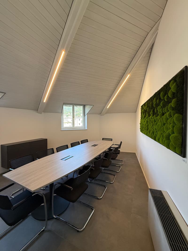 Sala Riunioni Executive a Lugano (7)