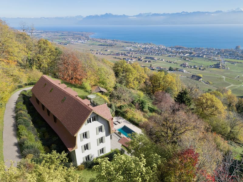 Villa d'eccezione con vista panoramica sul lago di Ginevra (2)