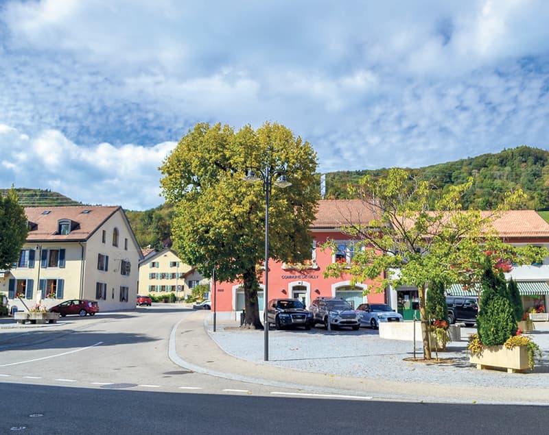 Beautiful ground floor apartment with 5.5 rooms in Gilly (2)