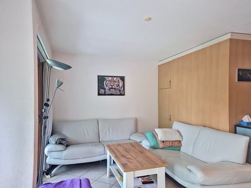 Ground floor in the center of Rolle (5)