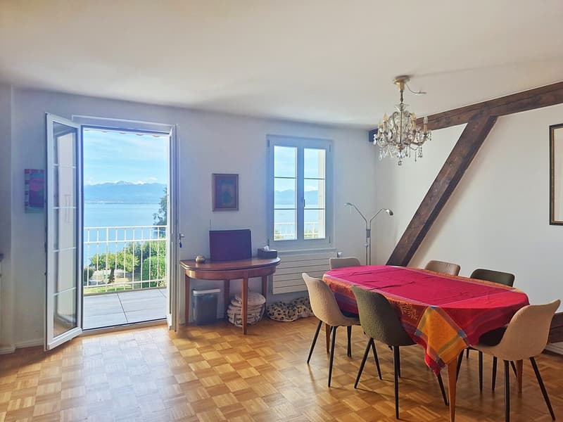 Au coeur de Rolle, attique avec balcon et vue imprenable sur le lac (2)