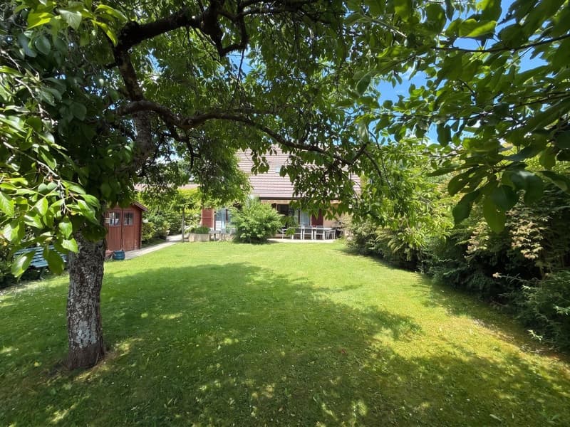 Jardin et vue sur la maison