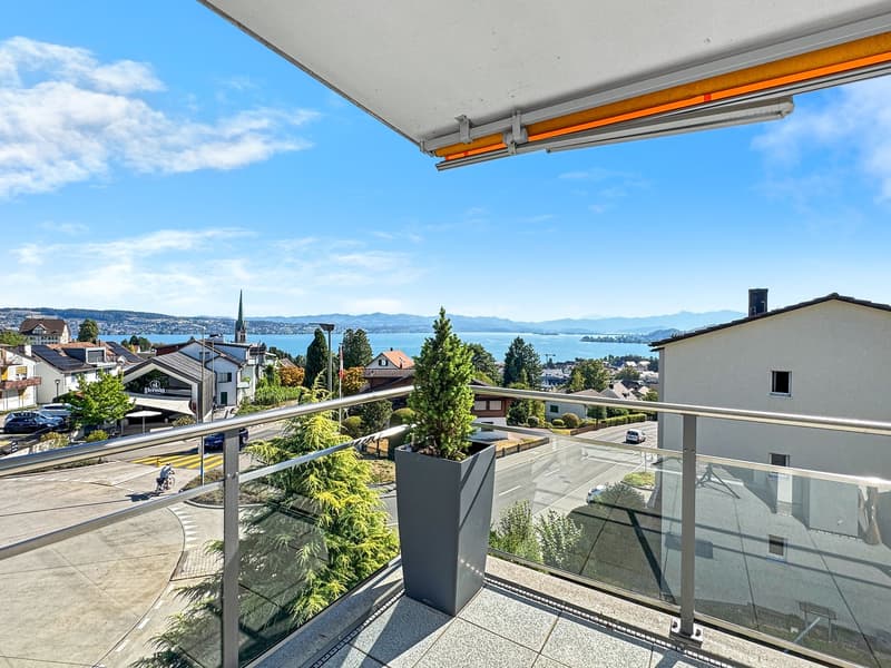 Neuwertige 4½-Zimmer-Wohnung mit Seeblick über den Zürichsee (3)