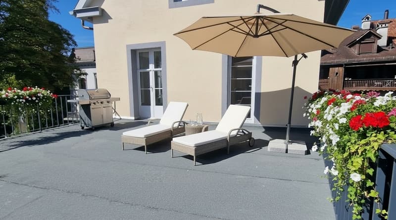 Charmante 2.5-Zimmer-Altbauwohnung, vollständig renoviert, mit grosser Sonnenterrasse (3)