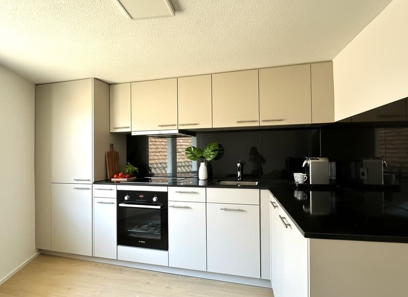 Grosszügige Attikawohnung vereint Modern und Charme (5)