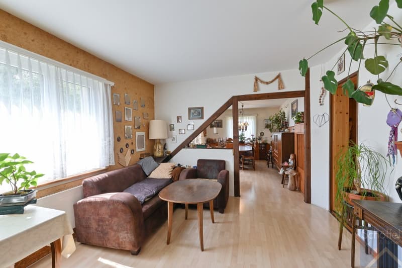 EG Wohn- und Esszimmer