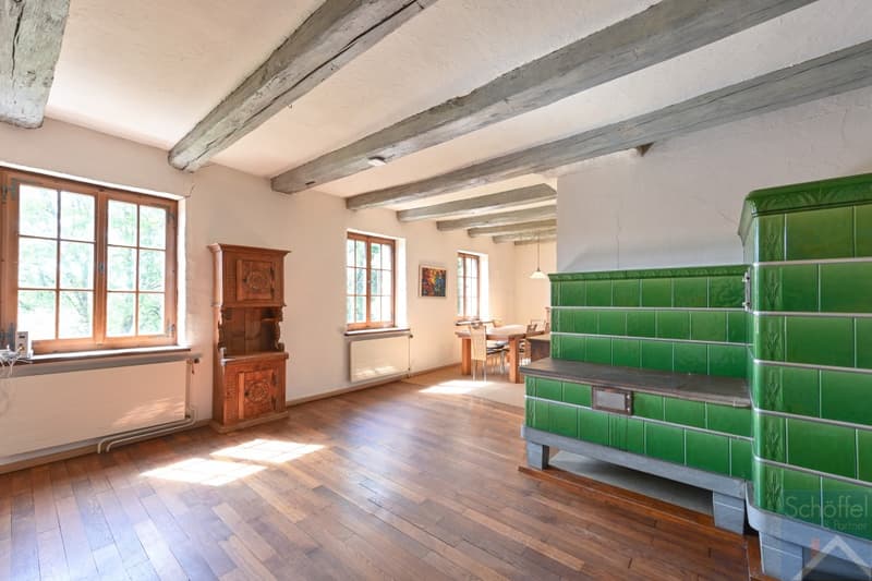 Wohnzimmer Erdgeschoss