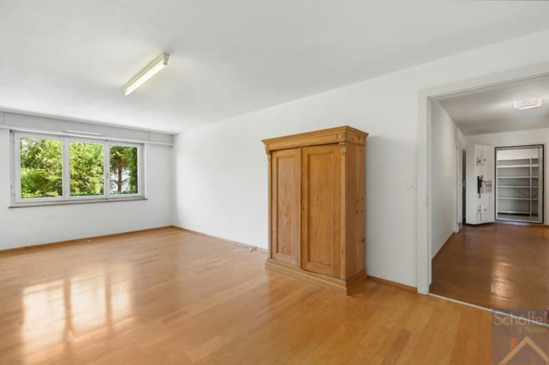 Maison unifamiliale de 7 pièces et demie avec grand jardin (11)