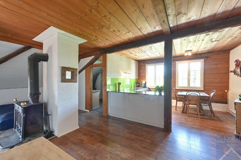 Freistehendes Einfamilienhaus mit Einliegerwohnung und viel Platz (8)