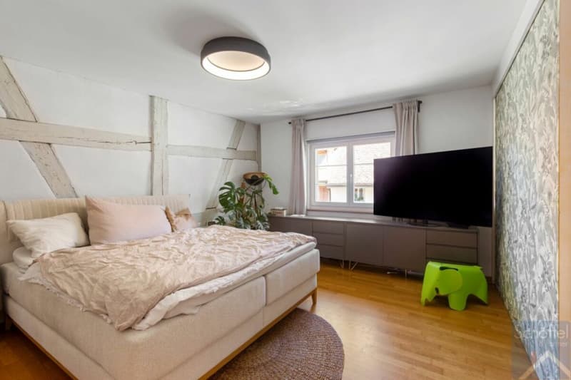Charmantes 7½-Zimmer-Stadthaus mit separatem Garten (10)