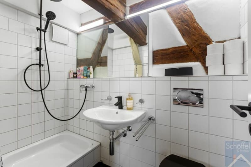 Charmantes 7½-Zimmer-Stadthaus mit separatem Garten (4)