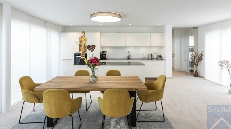Appartamento attico esclusivo 3½ locali con grande terrazza (6)
