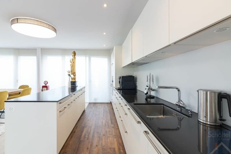 Appartamento attico esclusivo 3½ locali con grande terrazza (2)
