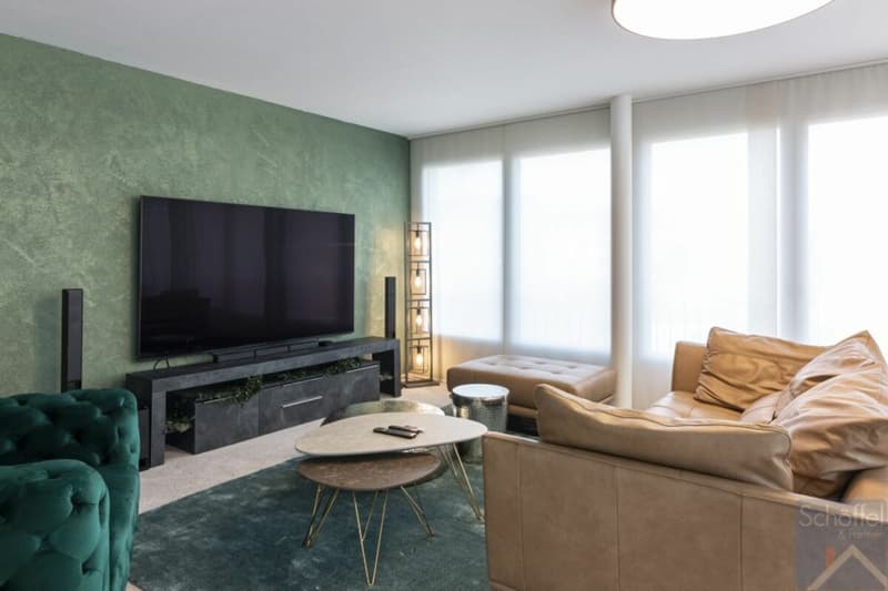 Appartamento attico esclusivo 3½ locali con grande terrazza (5)