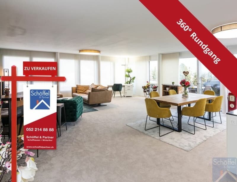 Appartamento attico esclusivo 3½ locali con grande terrazza (1)