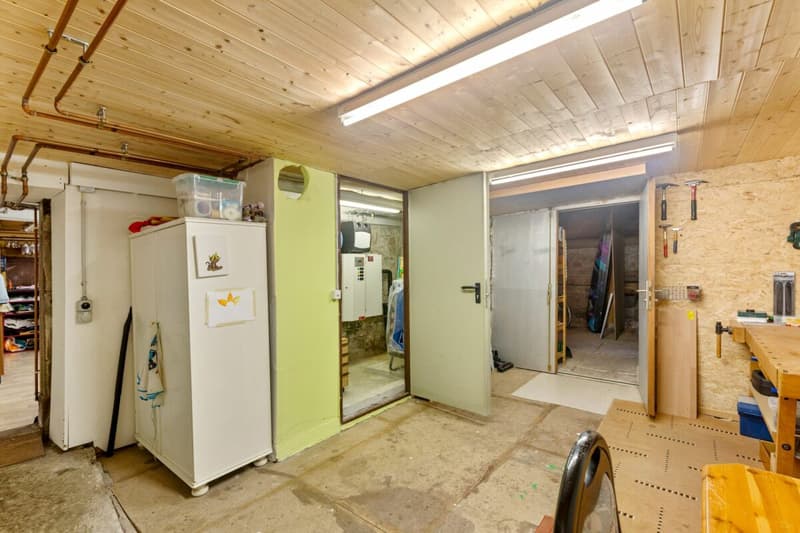 7 ½-room single-family house with exceptional space offer (21)