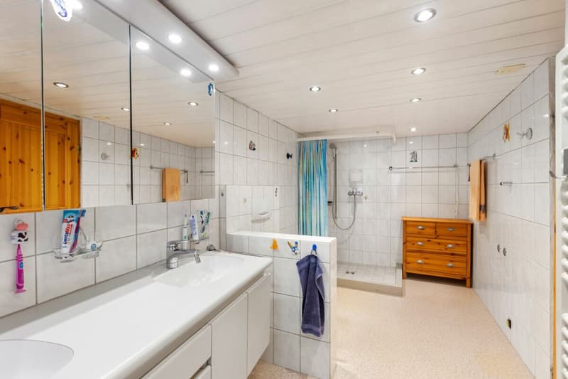 7 ½-room single-family house with exceptional space offer (18)