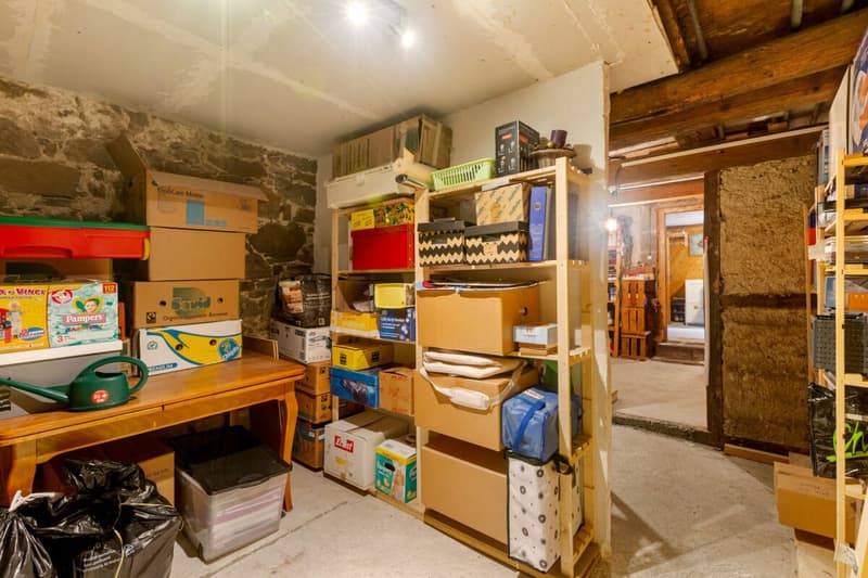 7 ½-room single-family house with exceptional space offer (30)