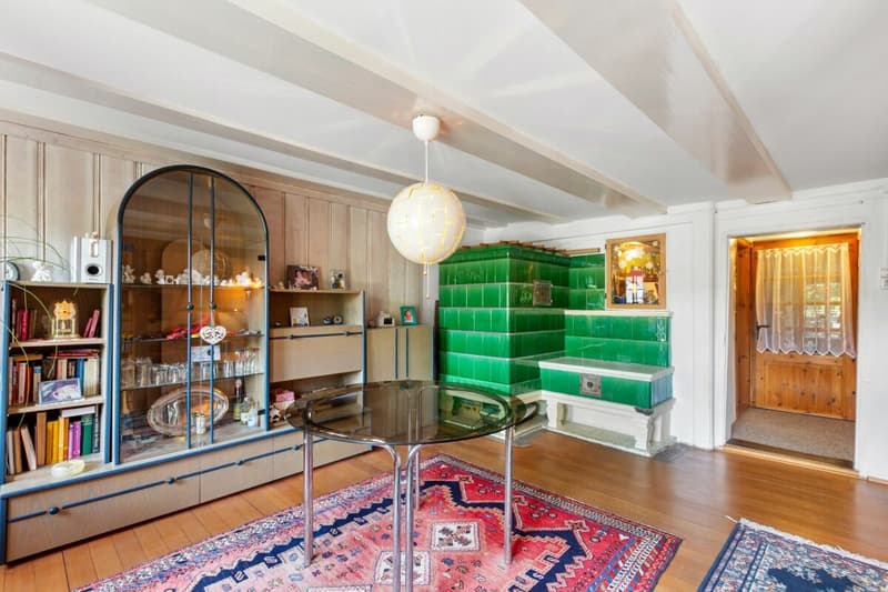 7 ½-room single-family house with exceptional space offer (3)