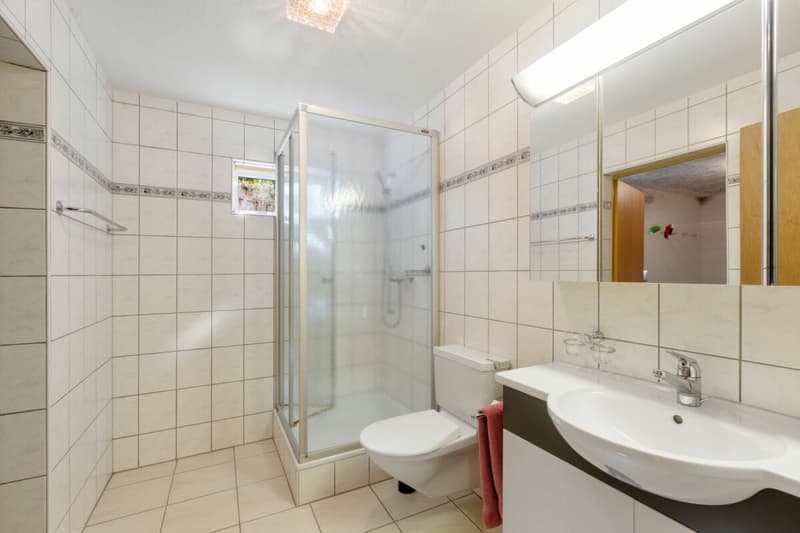 Grosszügiges 6½-Zimmer-Einfamilienhaus mit Doppelgarage (5)