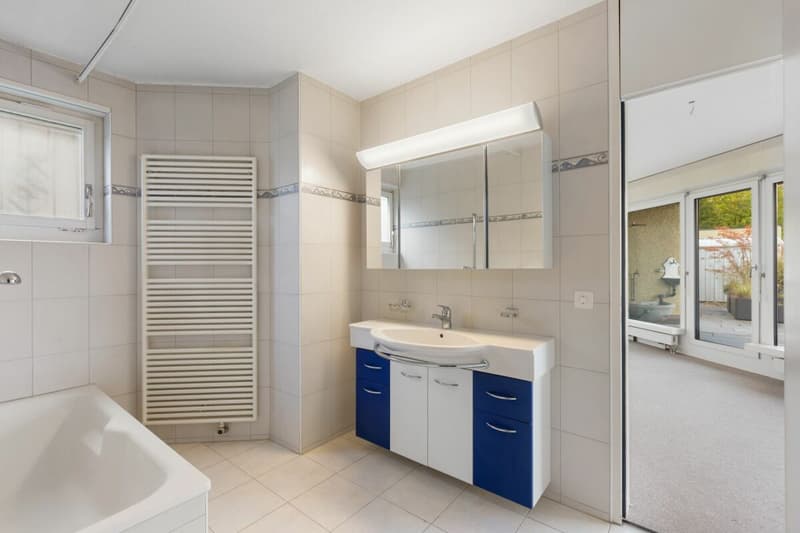 Grosszügige 2½-Zimmer-Terrassenwohnung mit Weitsicht (16)