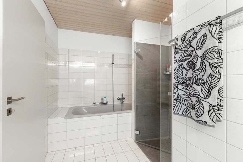 5½-Zimmer-Reiheneckhaus mit grosszügigem Grundstück (17)