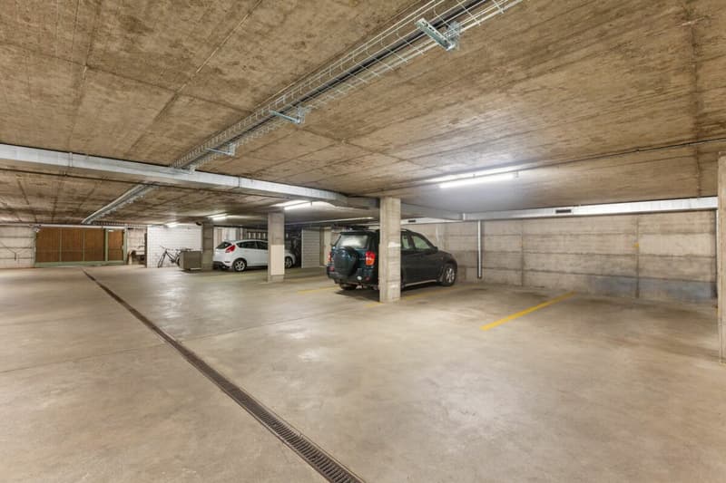 5½-Zimmer-Reiheneckhaus mit grosszügigem Grundstück (22)