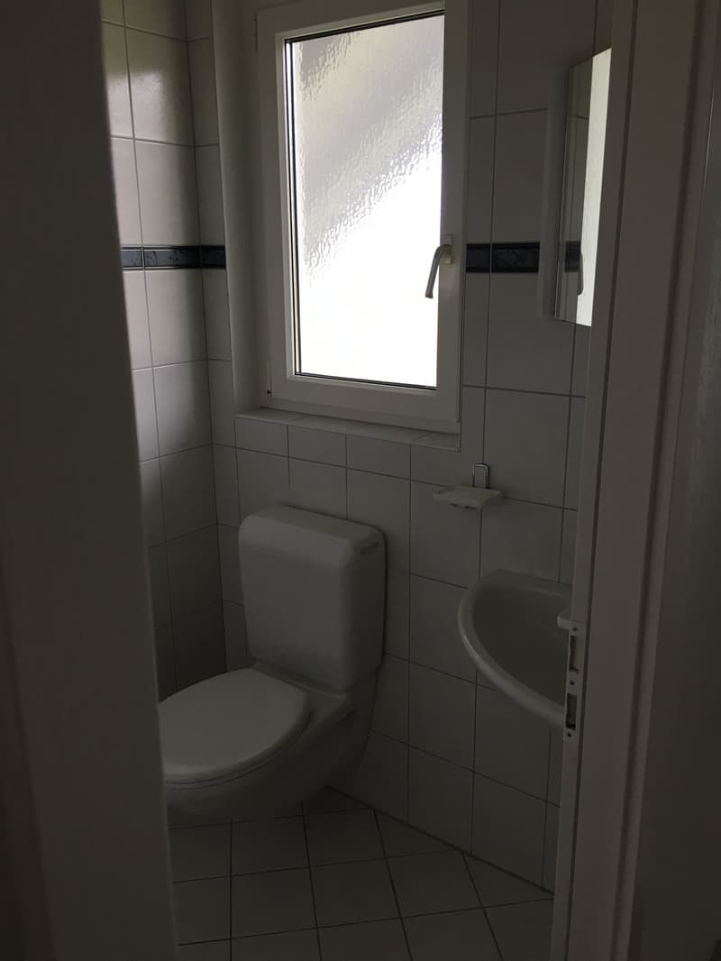 Helle 3.5-Zimmer-Dachwohnung mit Südbalkon & viel Charme (10)