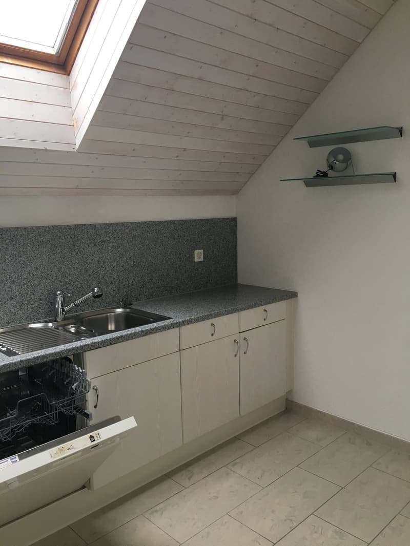 Helle 3.5-Zimmer-Dachwohnung mit Südbalkon & viel Charme (6)