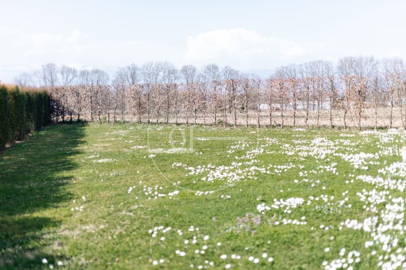 Exclusive: Quiet apartment with large private garden (8)