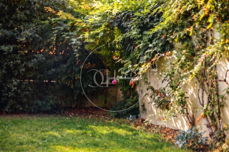 En exclusivité - Superbe appartement de charme (9)