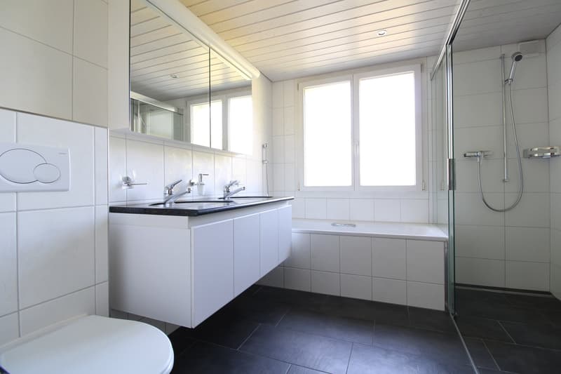 large shower, bathtub, white tiles, vanity, mirror, sink with two faucets, modern design